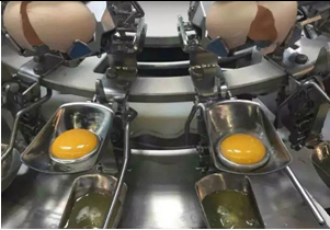 egg separating machine factory display