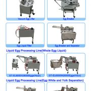 Egg Processing Machine-Greenland Tech