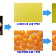 egg separating and filter