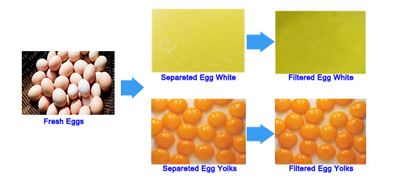 egg separating and filter