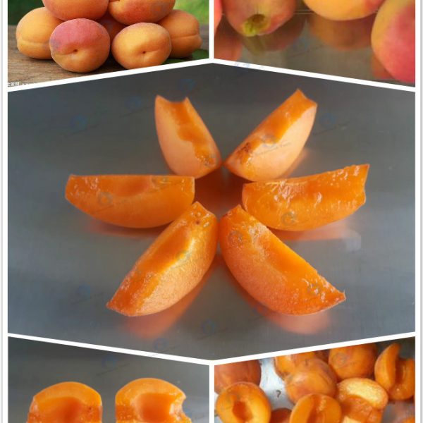 apricot pitting& cutting